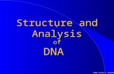 ©2000 Timothy G. Standish Structure and Analysis of DNA.