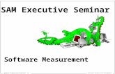 Software Acquisition Management Defense Acquisition Overview (1) Software Measurement SAM Executive Seminar.
