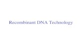 Recombinant DNA Technology. Restriction endonucleases - Blunt ends and Sticky ends.