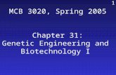 853 MCB 3020, Spring 2005 Chapter 31: Genetic Engineering and Biotechnology I.