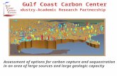 Gulf Coast Carbon Center Industry-Academic Research Partnership Assessment of options for carbon capture and sequestration in an area of large sources.