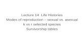 Lecture 14 Life Histories Modes of reproduction – sexual vs. asexual k vs r selected species Survivorship tables.