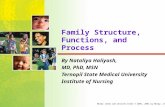 Mosby items and derived items © 2005, 2001 by Mosby, Inc. Family Structure, Functions, and Process By Nataliya Haliyash, MD, PhD, MSN Ternopil State Medical.