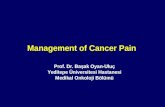 Management of Cancer Pain Prof. Dr. Başak Oyan-Uluç Yeditepe Üniversitesi Hastanesi Medikal Onkoloji Bölümü.