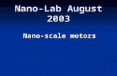 Nano-Lab August 2003 Nano-scale motors. Molecular Motors  Biological Motors  Background  Three types of linear stepper protein motors  Linear stepper.