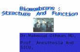 ,.,. Dr.Mahmoud Othman MD, Prof. Anesthesia And SICU, Mansoura Faculty of Medicine.