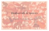 Biodiversity & Species SWOD: Biodiversity pg 95. Biodiversity The number of different species in an area .