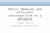 Retro: Modular and efficient retrospection in a database Ross Shaull Liuba Shrira Brandeis University.