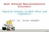 Work Related Musculoskeletal Disorders Physical Factors in Work Place and Ergonomics Prof. Dr. Selma KARABEY.