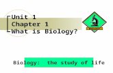 Unit 1 Chapter 1 What is Biology? Biology: the study of life.