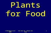 © NTScience.co.uk 2005KS3 Unit 9d – Plants for Food1 Plants for Food.