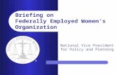 Briefing on Federally Employed Women’s Organization ® National Vice President for Policy and Planning.