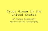 Crops Grown in the United States AP Human Geography Agricultural Geography.