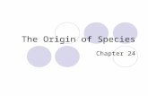 The Origin of Species Chapter 24. Basics Speciation Macroevolution Two basic patterns of evolution:  Anagenesis  Cladogenesis.
