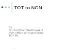 1 TOT to NGN By Dr. Kamthon Waithayakul EVP, Office of Engineering TOT Plc.