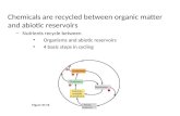 Chemicals are recycled between organic matter and abiotic reservoirs – Nutrients recycle between Organisms and abiotic reservoirs 4 basic steps in cycling.