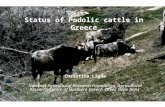 Status of Podolic cattle in Greece Christina Ligda National Agricultural Research Foundation, Agricultural Research Centre of Northern Greece, Greek Gene.