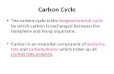 Carbon Cycle The carbon cycle is the biogeochemical cycle by which carbon is exchanged between the biosphere and living organisms. Carbon is an essential.