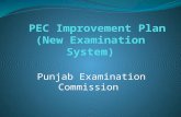 Punjab Examination Commission. PEC exam structure for 2015 exams 2 Previous practice and responsibility Reforms for better execution of PEC exams for.