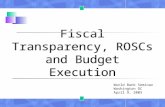 Fiscal Transparency, ROSCs and Budget Execution World Bank Seminar Washington DC April 9, 2003.