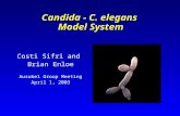 Costi Sifri and Brian Enloe Ausubel Group Meeting April 1, 2003 Candida - C. elegans Model System.