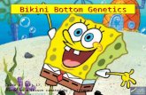 Bikini Bottom Genetics Grade 7; GLEs 17, 19, 20, 21 Based on a lesson created by T. Trimpe ://sciencespot.net.