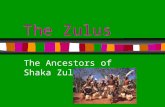 The Zulus The Ancestors of Shaka Zulu Background The Zulus reside in South Africa.