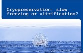 Cryopreservation: slow freezing or vitrification?.