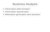 Business Analysis Information determination Information specification Alternative generation and selection.