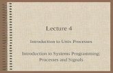 Lecture 4 Introduction to Unix Processes Introduction to Systems Programming: Processes and Signals.