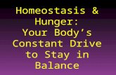 Homeostasis & Hunger: Your Body’s Constant Drive to Stay in Balance.