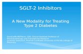 SGLT-2 Inhibitors A New Modality for Treating Type 2 Diabetes David Joffe BSPharm, CDE, Clinical Assistant Professor of Pharmacotherapy and Translational.