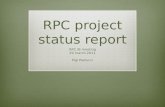 RPC project status report RPC IB meeting 29 march 2011 Pigi Paolucci.