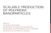SCALABLE PRODUCTION OF POLYMERIC NANOPARTICLES YING LIU ASSISTANT PROFESSOR DEPARTMENT OF CHEMICAL ENGINEERING DEPARTMENT OF BIOPHARMACEUTICAL SCIENCES.