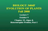 BIOLOGY 3404F EVOLUTION OF PLANTS Fall 2008 Lecture 7 October 9 Chapter 15, Algae & Heterotrophic Protists, Part I.