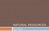 NATURAL RESOURCES Mrs. Taylor. Today’s agenda  Warm- up  Essential question  Natural Resources  Independent writing activity  Review.