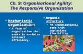 Ch. 9: Organizational Agility: The Responsive Organization  Mechanistic organization A form of organization that seeks to maximize internal efficiency.