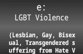 Gendered Violence: LGBT Violence (Lesbian, Gay, Bisexual, Transgendered suffering from Hate Violence)