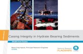 Casing Integrity in Hydrate Bearing Sediments Reem Freij-Ayoub, Principal Research Engineer CESRE Wealth from Oceans.
