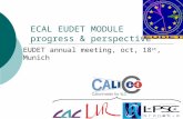 ECAL EUDET MODULE progress & perspective EUDET annual meeting, oct, 18 st, Munich.