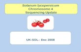 Solanum lycopersicum Chromosome 4 Sequencing Update UK-SOL– Dec 2008 Wellcome Trust Medical Photographic Library.