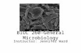 BIOL 260-General Microbiology Instructor: Jennifer Ward.