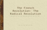 The French Revolution: The Radical Revolution Welcome!!! The Revolution you have been hoping for has begun!!!!! The storming of the Bastille was successful.