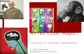 Affective Maps: Literature as Emotional Endophenotype Leslie Heywood Binghamton University.