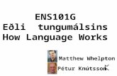 ENS101G Eðli tungumálsins How Language Works Pétur Knútsson Matthew Whelpton.