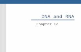 DNA and RNA Chapter 12. Griffith Studied disease in humans in 1928 Wanted to know how certain types of bacteria cause pneumonia Found two strains of pneumonia.