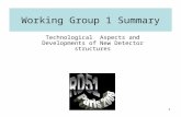 1 Working Group 1 Summary Technological Aspects and Developments of New Detector structures.