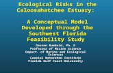 Ecological Risks in the Caloosahatchee Estuary: A Conceptual Model Developed through the Southwest Florida Feasibility Study Darren Rumbold, Ph. D Professor.