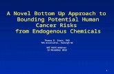 A Novel Bottom Up Approach to Bounding Potential Human Cancer Risks from Endogenous Chemicals Thomas B. Starr, PhD TBS Associates, Raleigh NC SOT RASS.