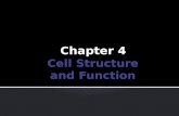 Chapter 4.  Cell: the smallest unit that can carry on all of the processes of life.